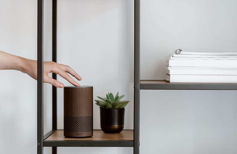 Amazon Alexa voice search